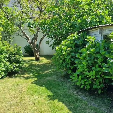 Maison D'architecte Au Calme, 9 Pers, Proche Plage, - Fr-1-775-27 Holiday home Arzon